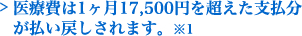 医療費は1ヶ月10,000円を超えた支払分が払い戻しされます。※1